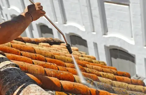 Démoussage de toiture à Carquefou